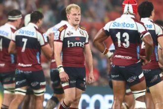 Super Rugby Pacific Team: Round 7 lineups, tips, odds and everything you need to know over the weekend