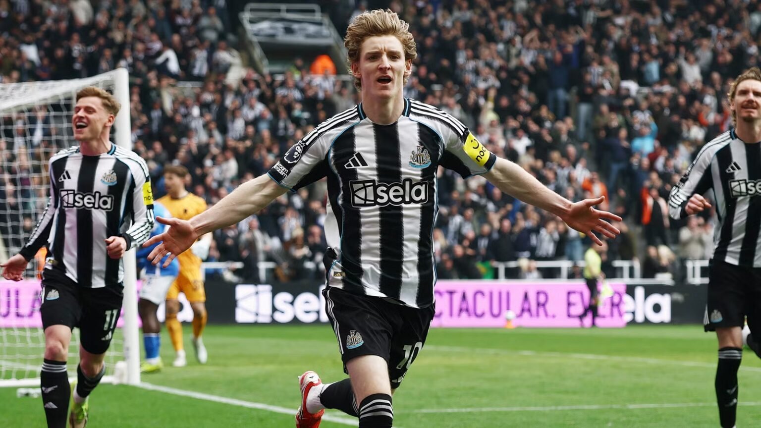 Gordon next for Howe: Newcastle very keen to sign 'explosive' £34m star