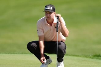 Matt McCarty leads the Tourists on the PGA Tour. Rory McIlroy 7 back