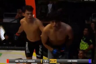 Missed Fist: A fighter is stunned by an uncalled for low blow and loses by knockout.