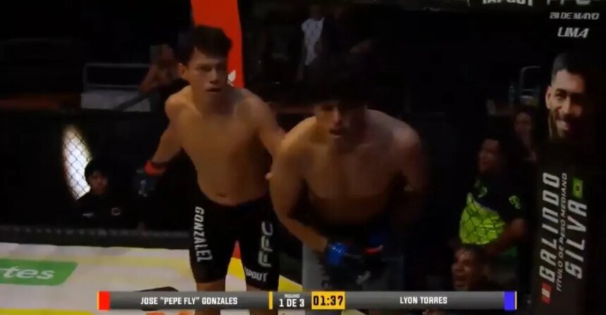Missed Fist: A fighter is stunned by an uncalled for low blow and loses by knockout.
