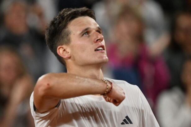 Mensik stops Fonseca, takes Zverev next in French Open semi-finals