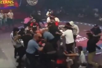 Khamzat Chimaev and Dillon Danis Explode into Wild Brawl After Wrestling Match - RAF 10 Highlights