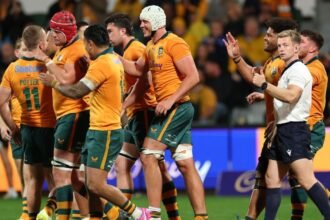 Wallabies bid farewell to Joe Schmidt following stunning win over Italy