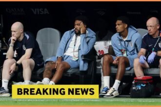 Reece James watches on from the England bench