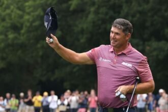 Padraig Harrington named European vice-captain at home Ryder Cup