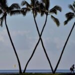Sony Open at Waialae CC becomes PGA Tour Champions event