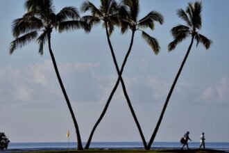 Sony Open at Waialae CC becomes PGA Tour Champions event