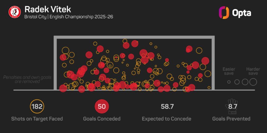 Manchester United goalkeeper Vitek is ready to become number one elsewhere